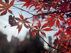 -木塔寺遗址生态公园