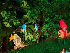 -大连森林动物园