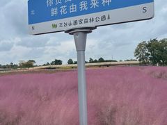 -江苏三台山国家森林公园