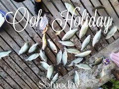 -新怡路亚垂钓园