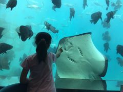 -瑞德姆美人鱼海底演艺主题餐厅(亚龙湾店)