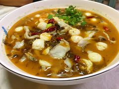 -丁老爷子苏香圆