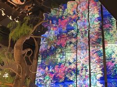 -桂满陇·海市蜃楼·黑金(国金店)