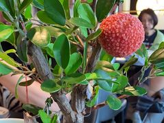 -亦庄创意生活广场