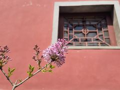 -潭柘寺景区