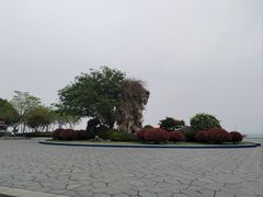 -贡湖湾湿地公园