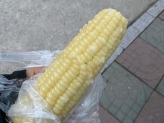 -南京理工大学紫金学院