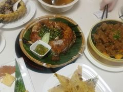 -云腾食府·云南菜