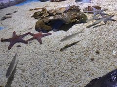 -多彩贵州城极地海洋世界