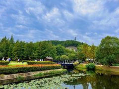 -良渚古城遗址公园