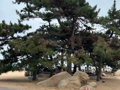 -老虎石海上公园