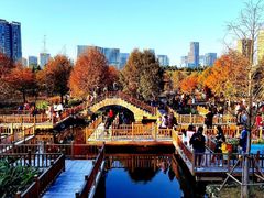 -五缘湾湿地公园