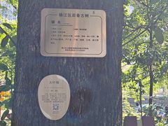-成都市活水公园