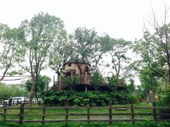 iphone_upload_pic-田园东方蜜桃村的田野营地