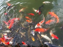 -天目湖涵田度假村