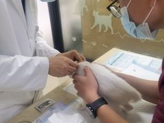 -艾贝尔宠物诊疗