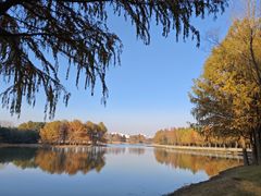 -贡湖湾湿地公园