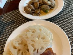-洪湖悦兮半岛国际温泉度假村