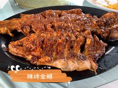 -京北渔家傲