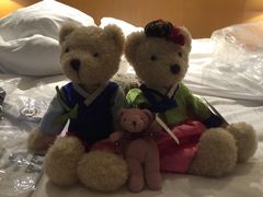 -济州岛泰迪熊博物馆