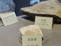 -陕西自然博物馆