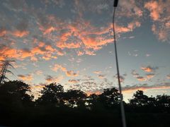 -阿五黄河大鲤鱼(纬三路店)