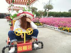 -广东花都香草世界旅游度假区