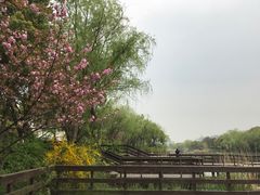 -新江湾城公园
