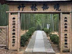 -大奇山国家森林公园