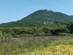-句容茅山景区