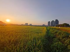 -光明小镇欢乐田园