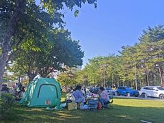 -二沙岛艺术公园