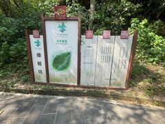 -羚羊峡古栈道森林公园