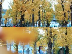-百林公园-两江幸福广场