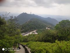 -梧桐山风景名胜区