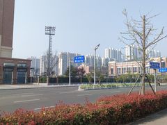 -星光岛