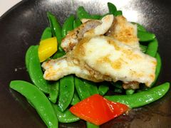 甜豆石斑-陶陶居·雅园(凯华国际店)