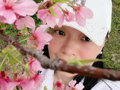-天适樱花悠乐园