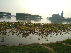 -武清南湖绿博园