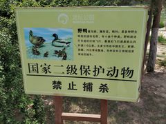 -大兴滨河森林公园