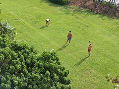 -糟粕醋·椰苑海南菜餐厅(亚龙湾天域酒店)