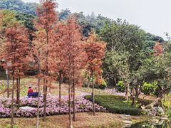 -云溪植物园