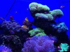 -多彩贵州城极地海洋世界