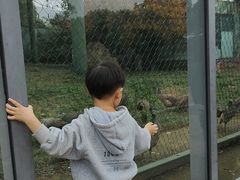-无锡动物园·太湖欢乐园