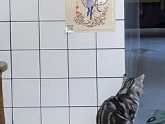 -猫友咖啡店(玉林西路店)