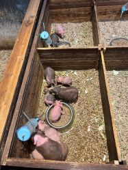 -酷嗒动物文化乐园(cutezoo西溪乐天城店)