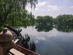-百脉泉景区
