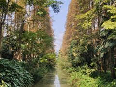 -东平国家森林公园