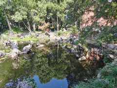 -叶家花园