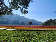 -广州市石门国家森林公园